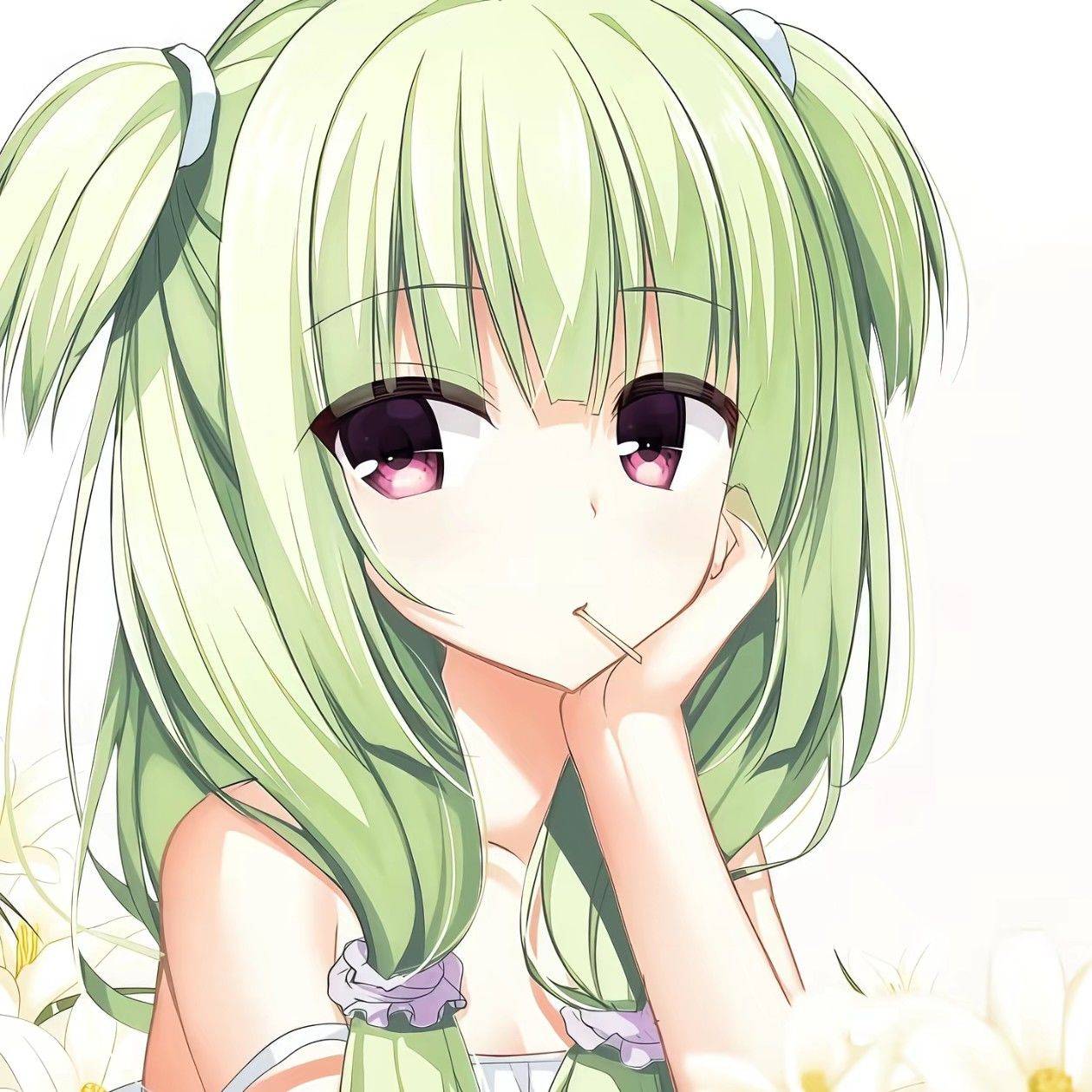 www