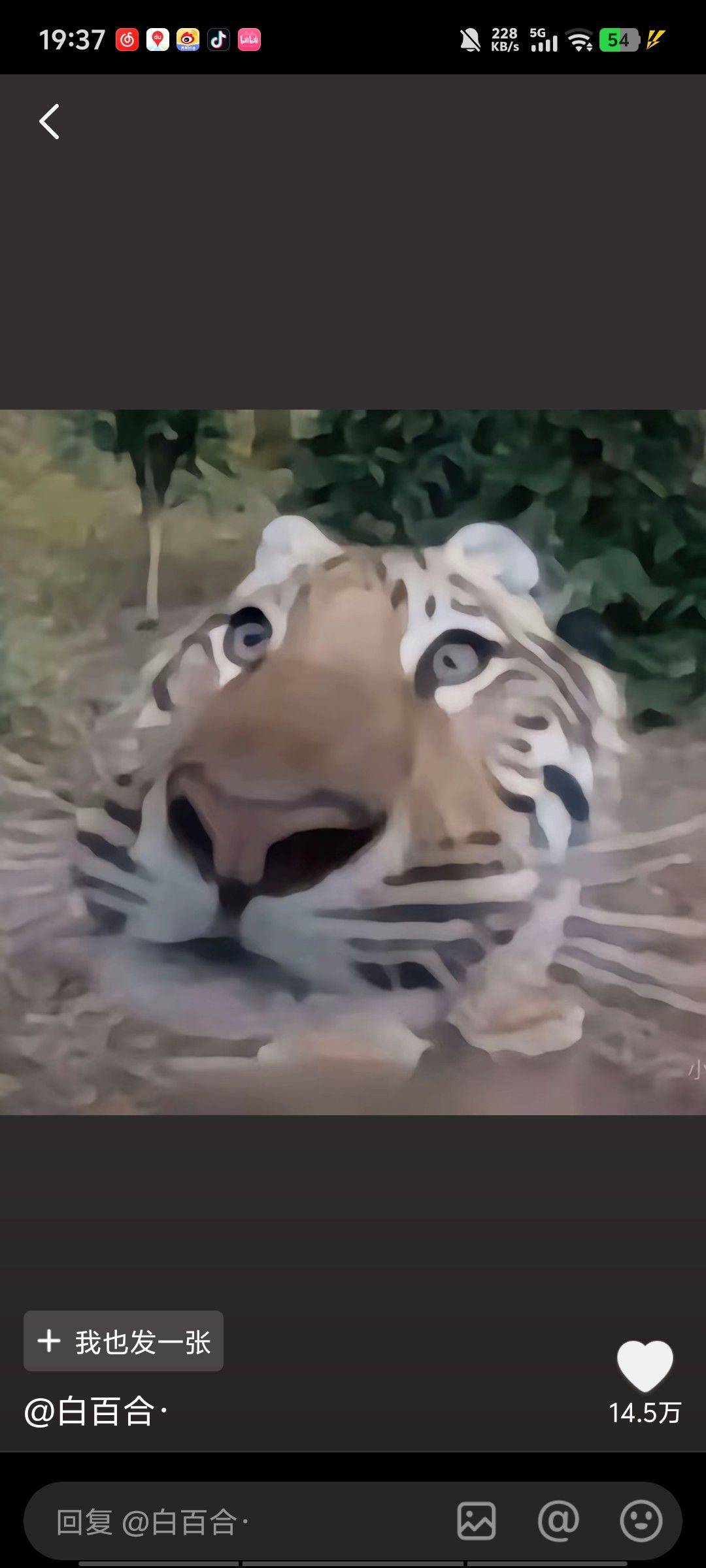 明明明