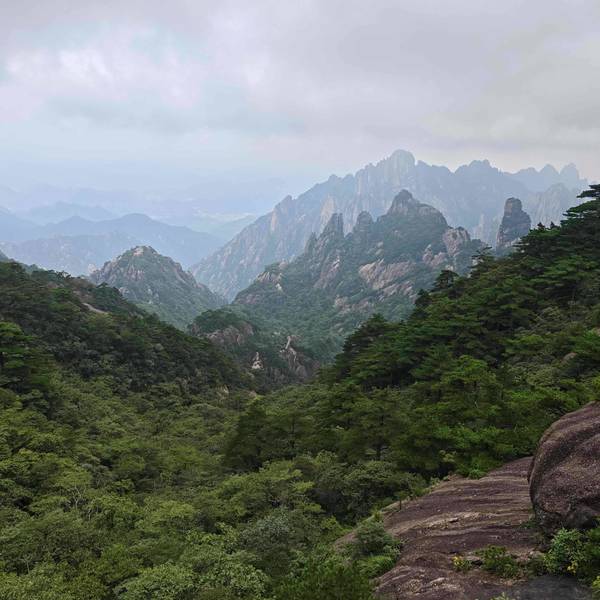百林有有