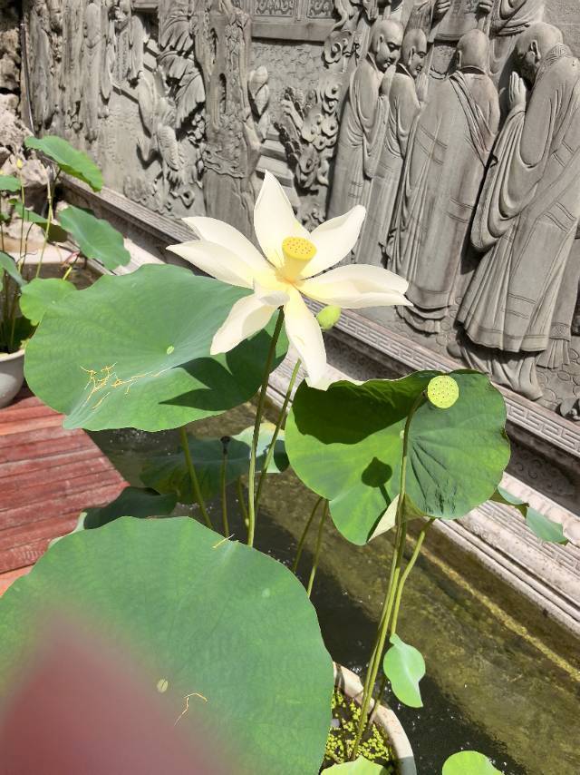 多喜乐