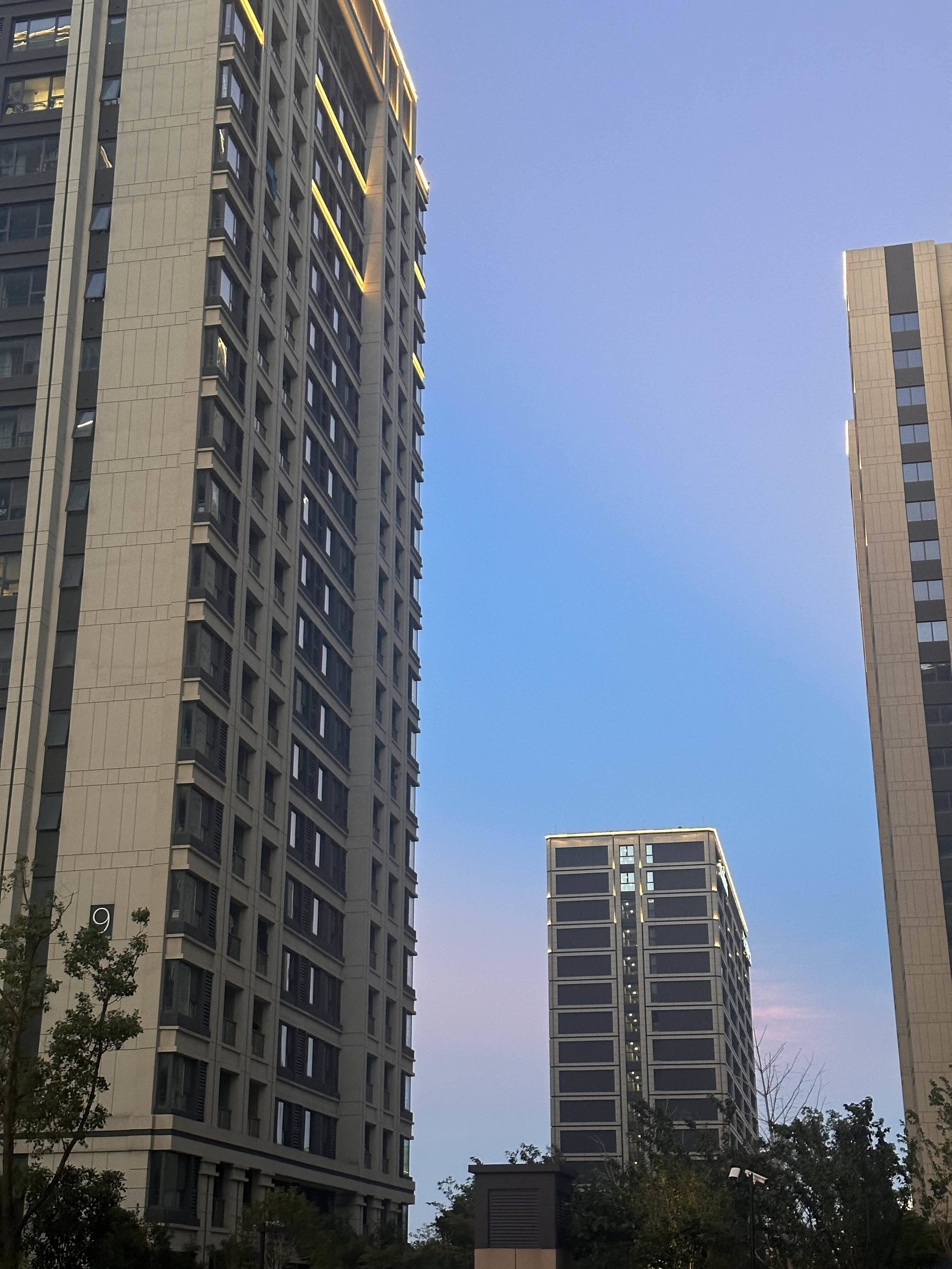 不吃折耳根