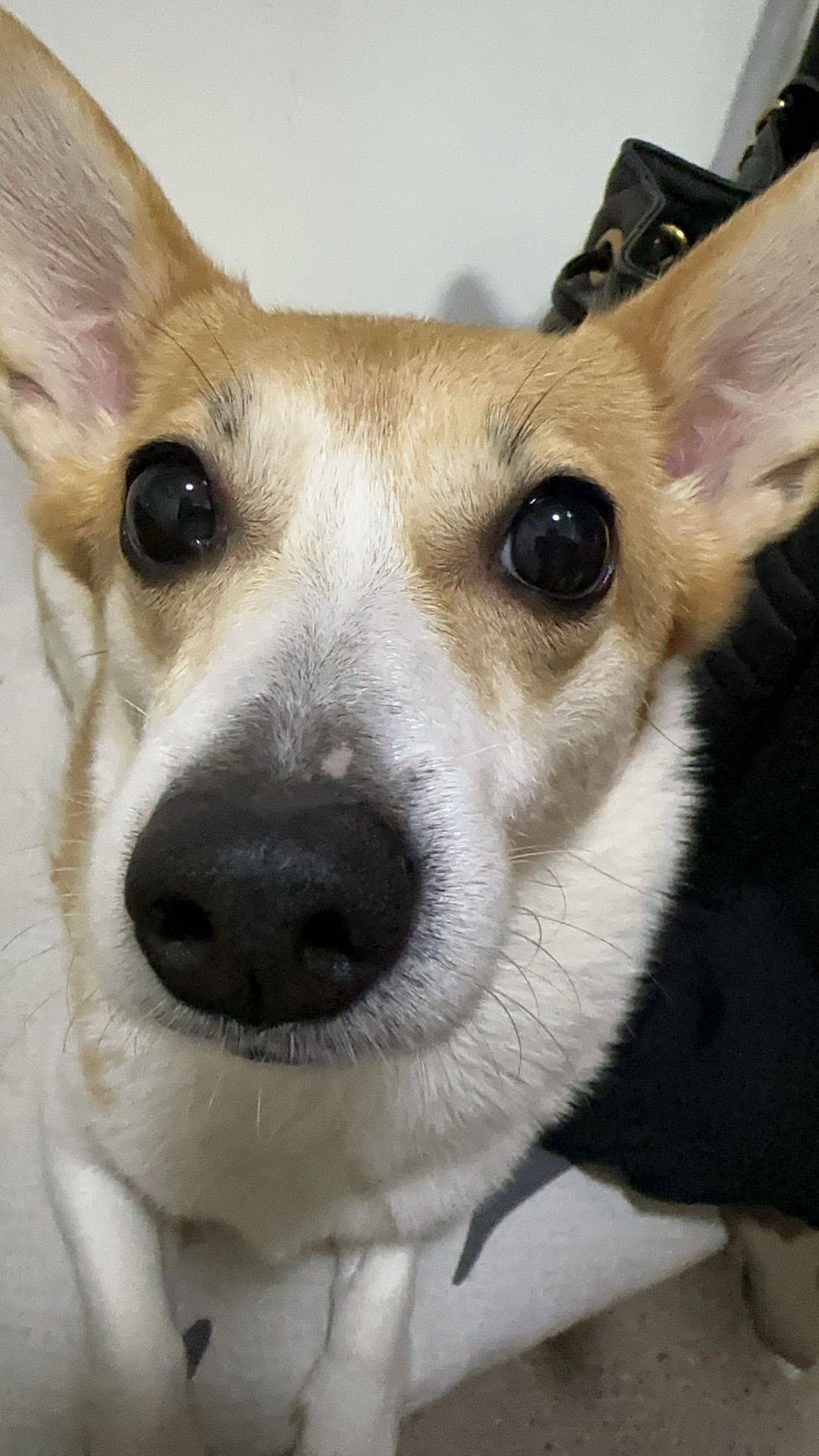 偶尔