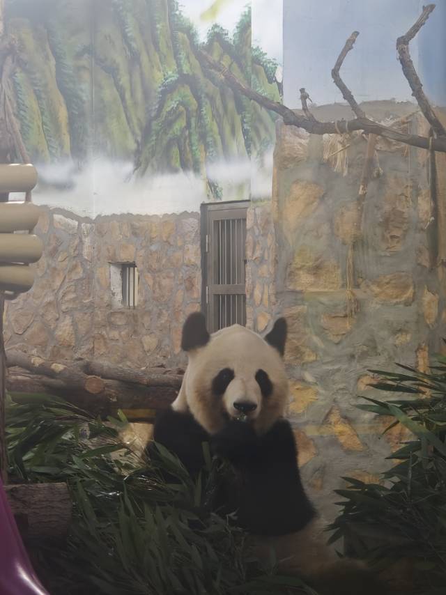 南宇