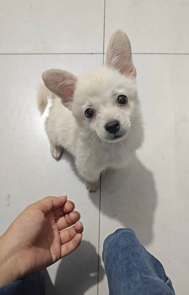 Ny琪.
