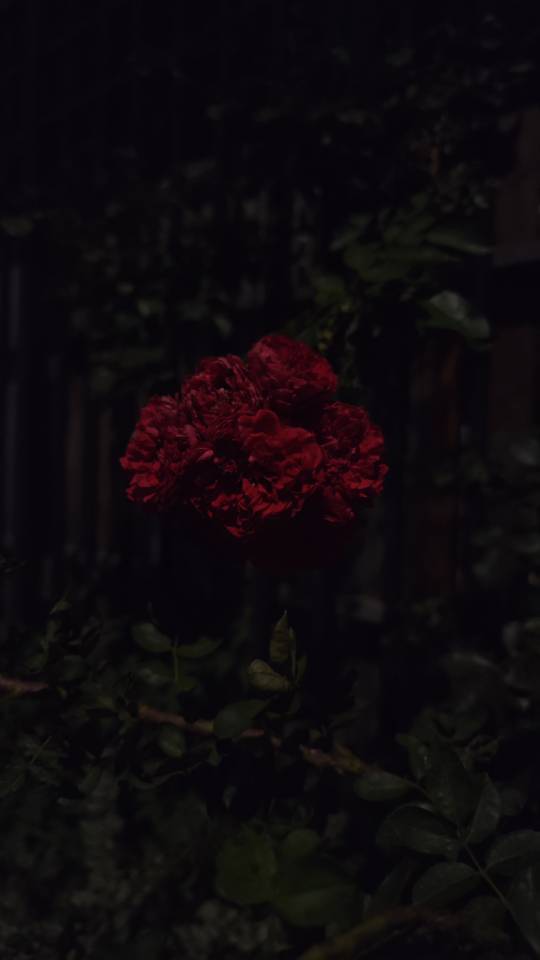 一一