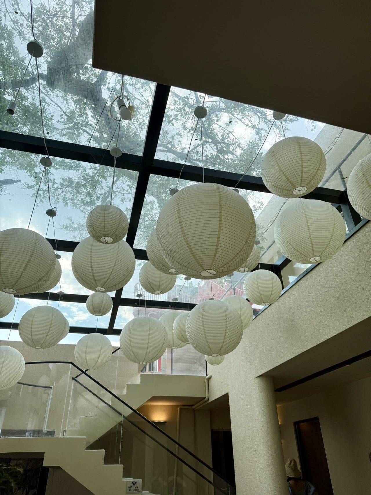 爱吃冰激凌的雪糕