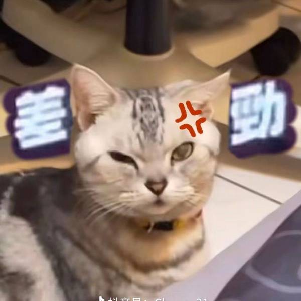 刘放
