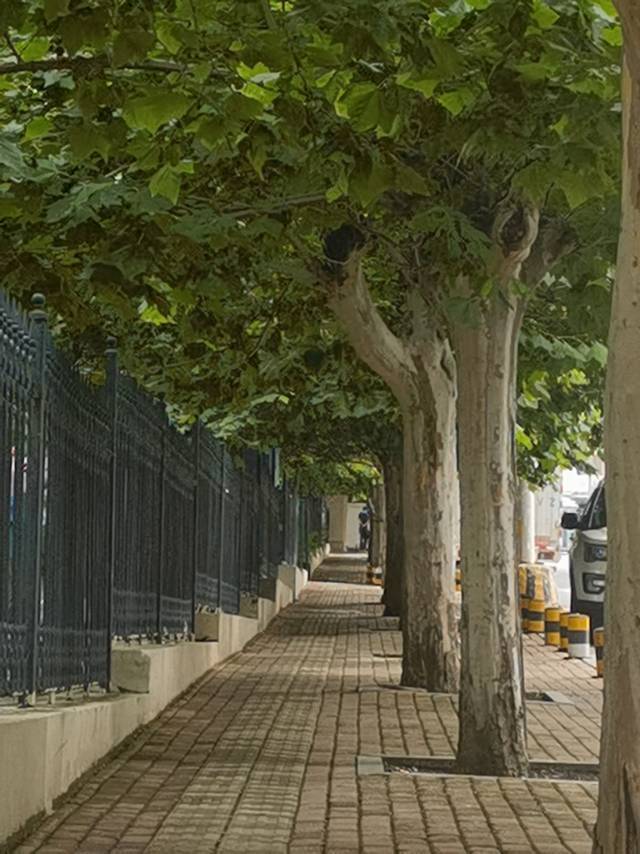 高新园区蓝星花园初来乍到，请多关照！