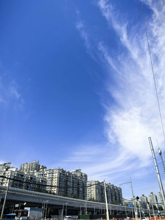 陈玉梅