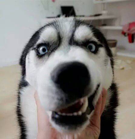 Sven