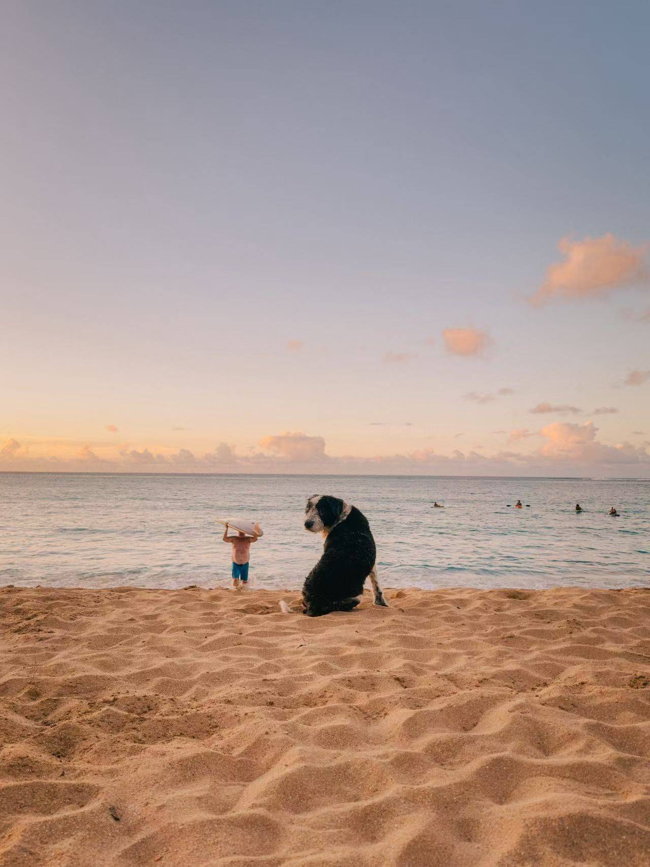 干净安静求租房