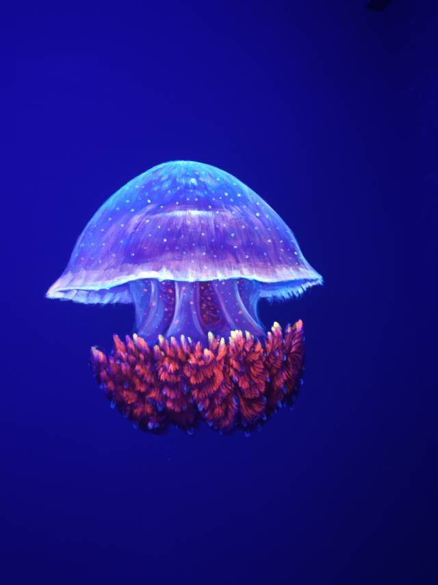 世纪宝宝