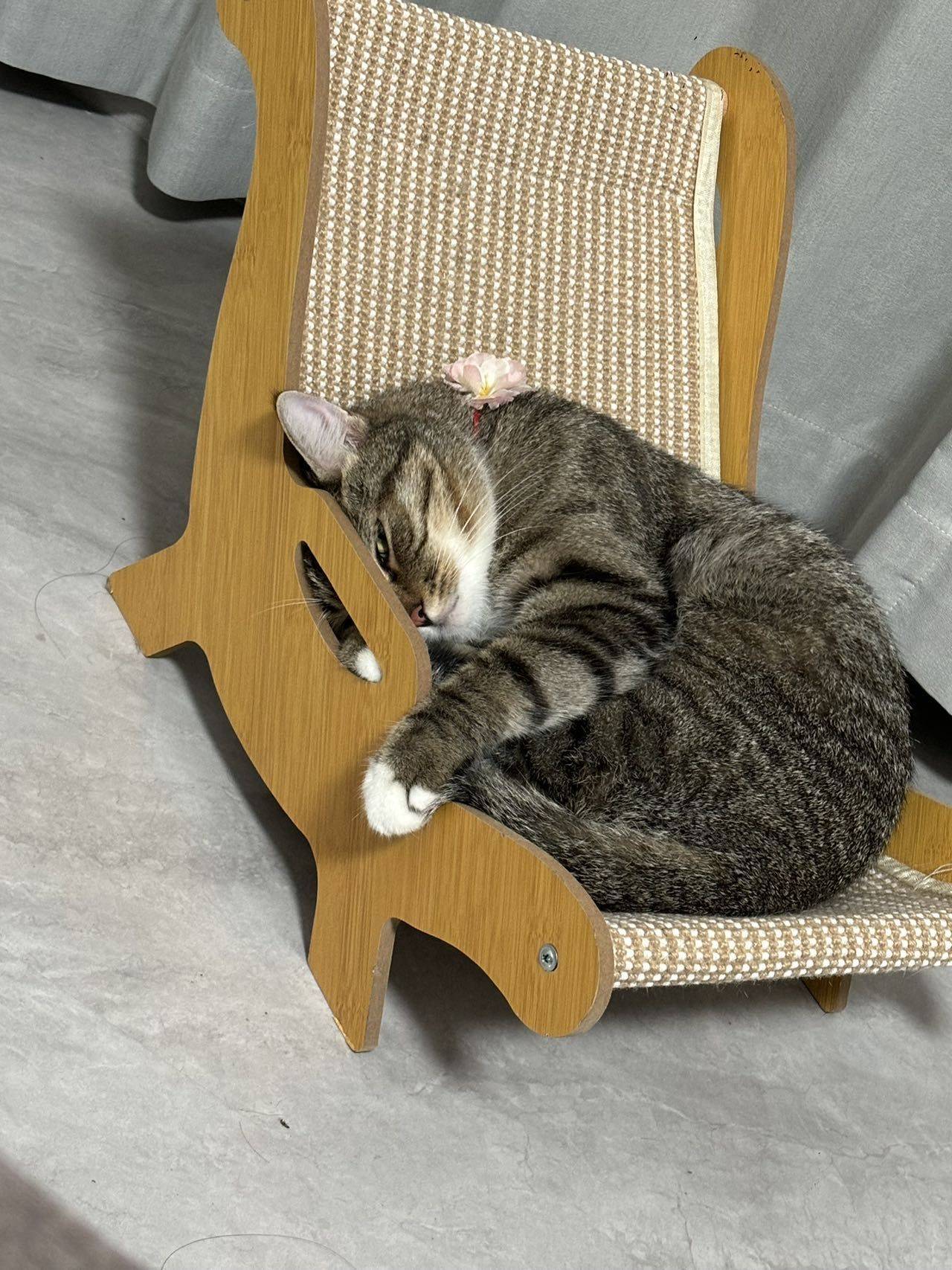 萌面人