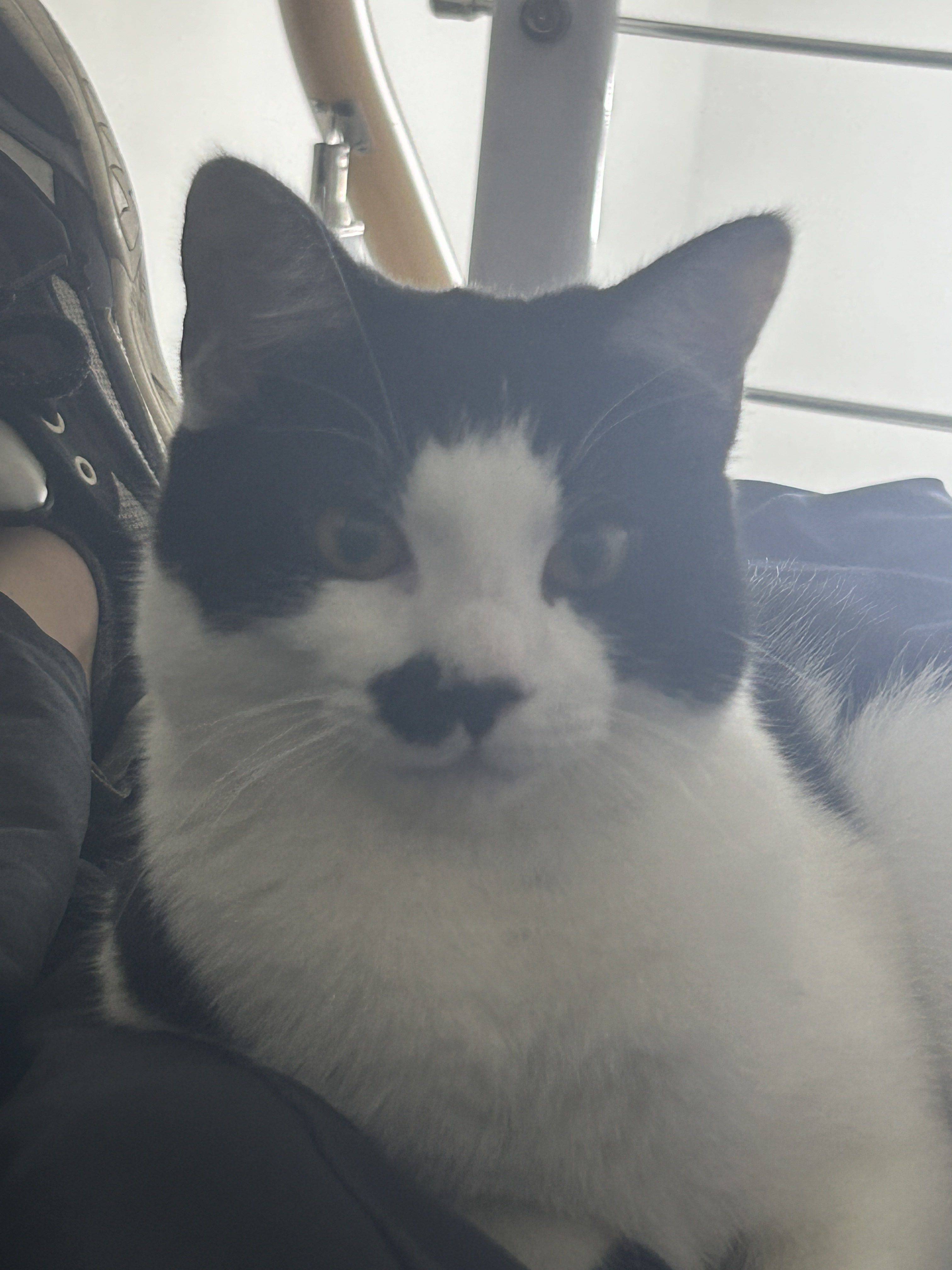 Tim