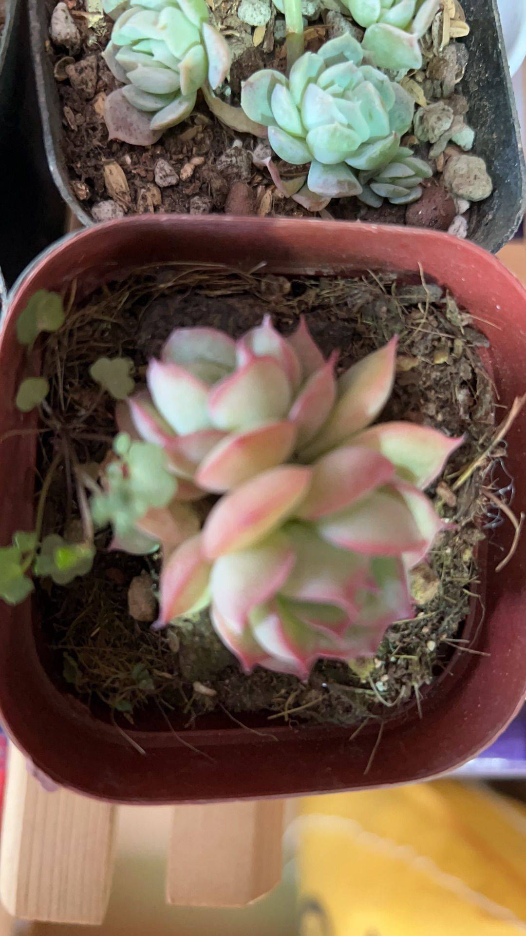 把镜头对准爱的所有