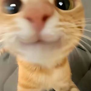 违错