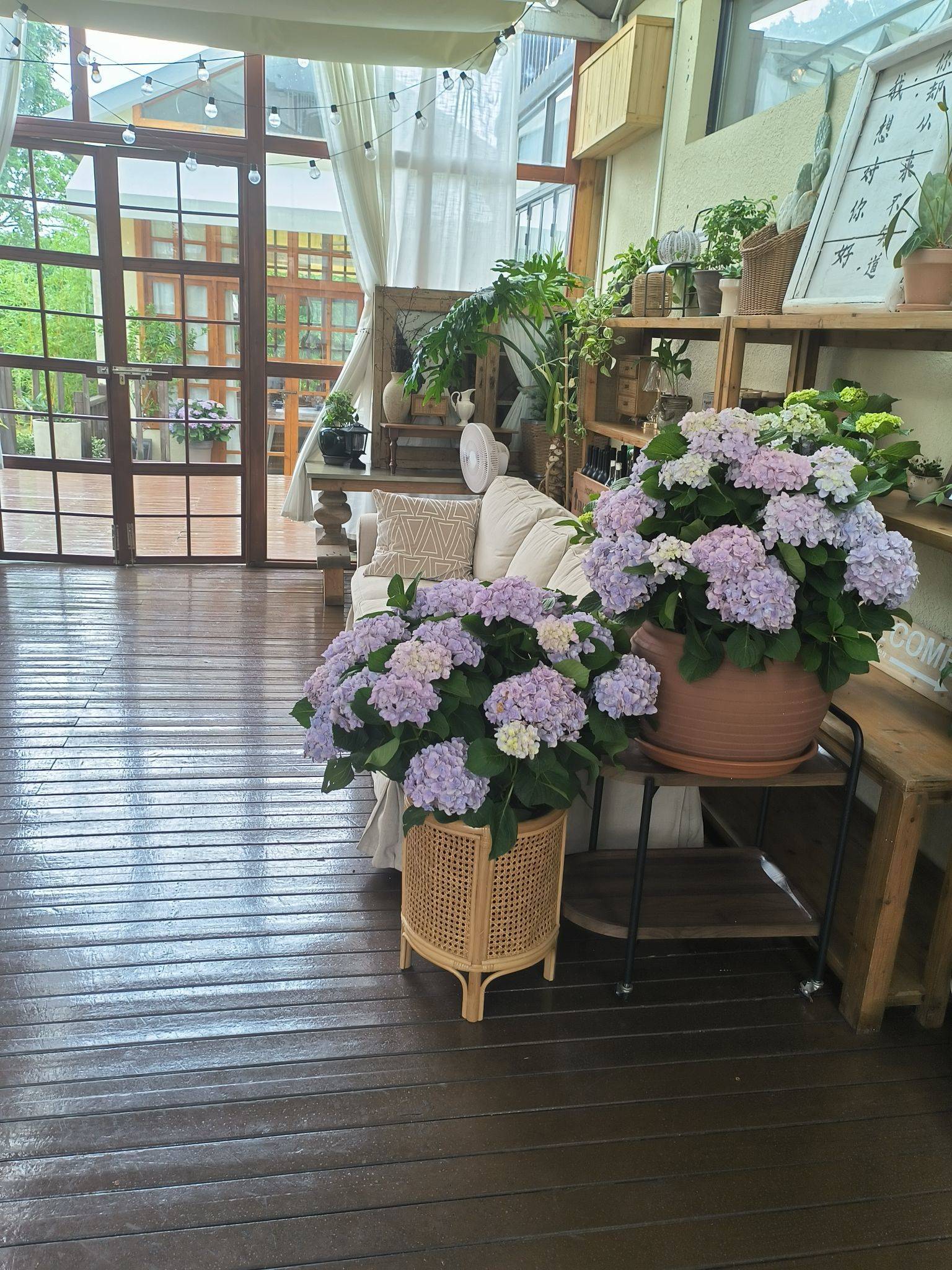 炫