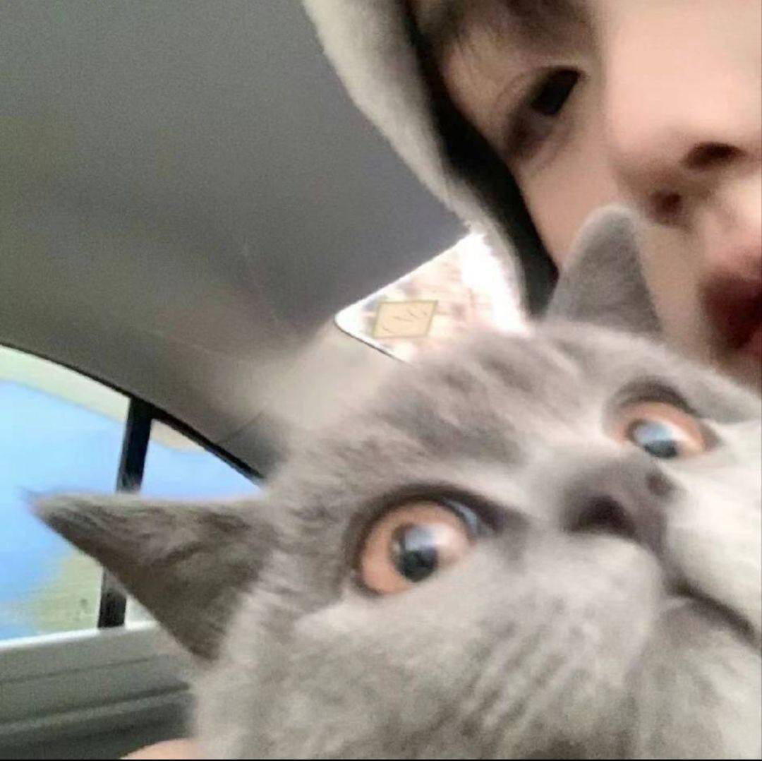釉