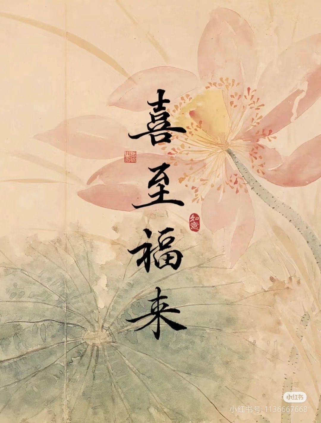 life_photo_1