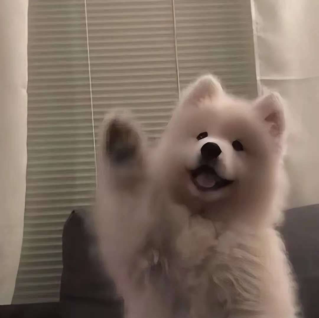 yかか