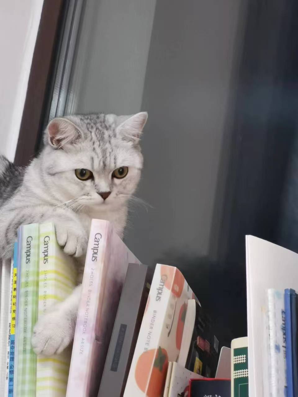 好好