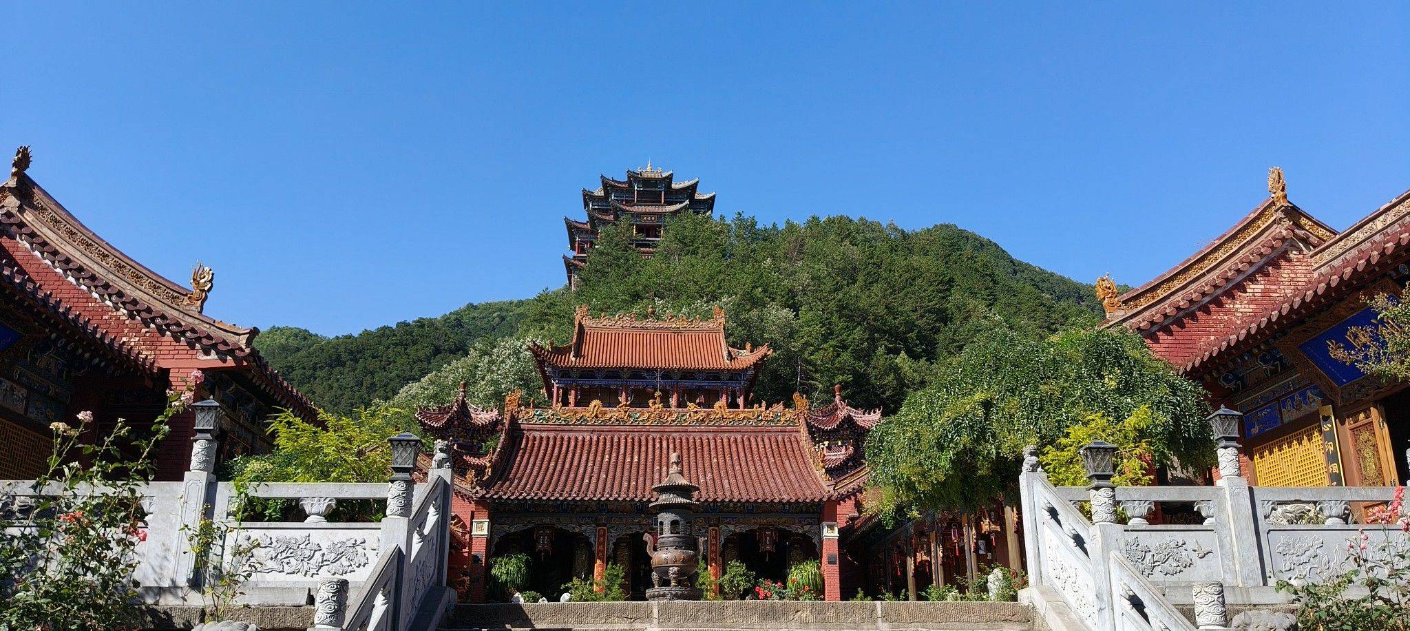 丽丽