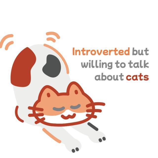 小cee和她的朋友们