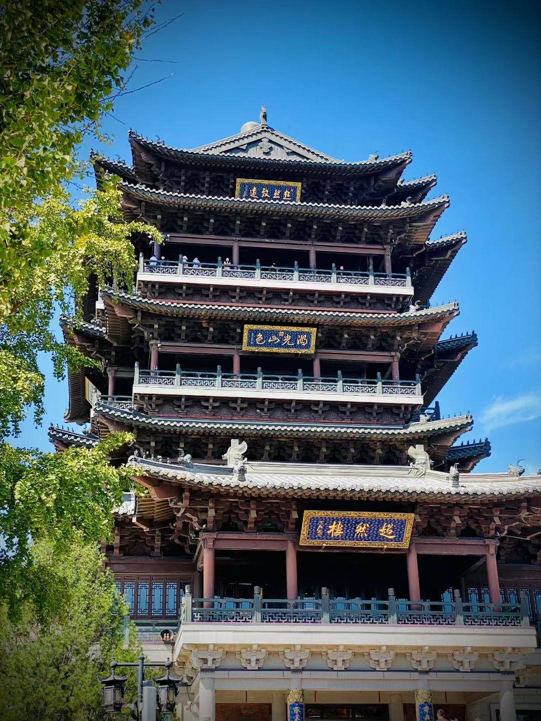 致青春