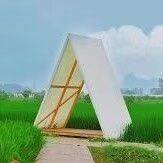 小鱼