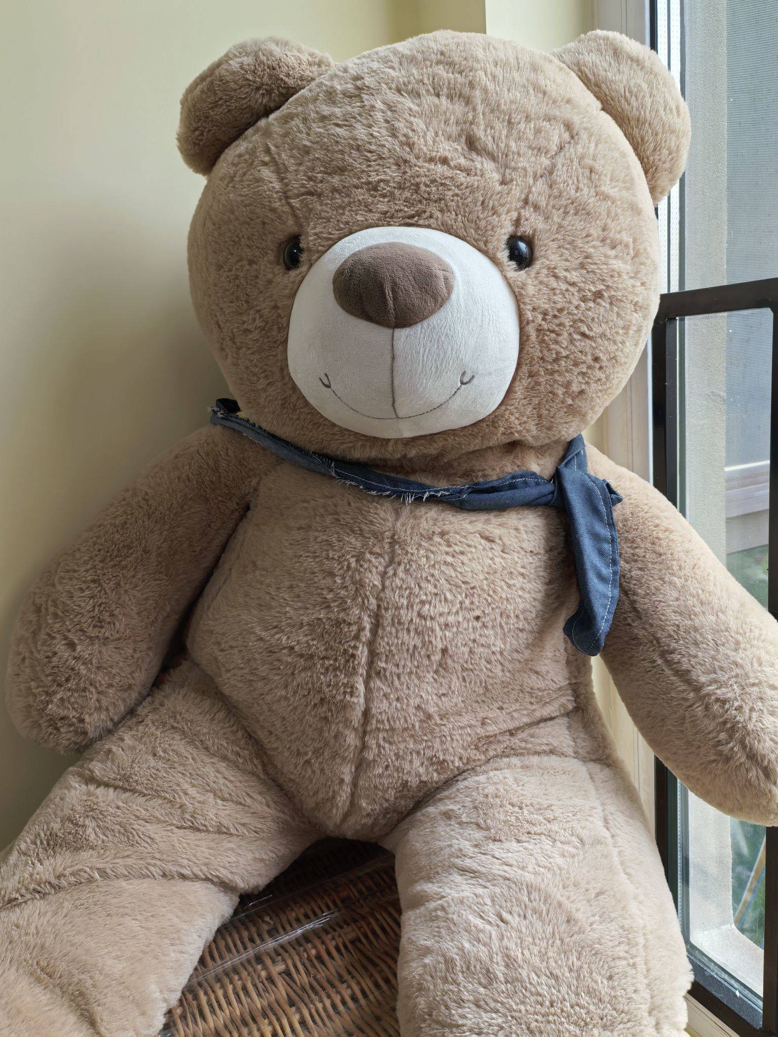 坠入生活的慢节奏