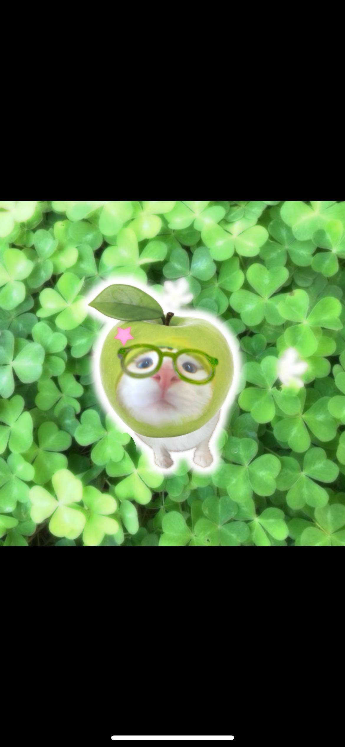 青苹果