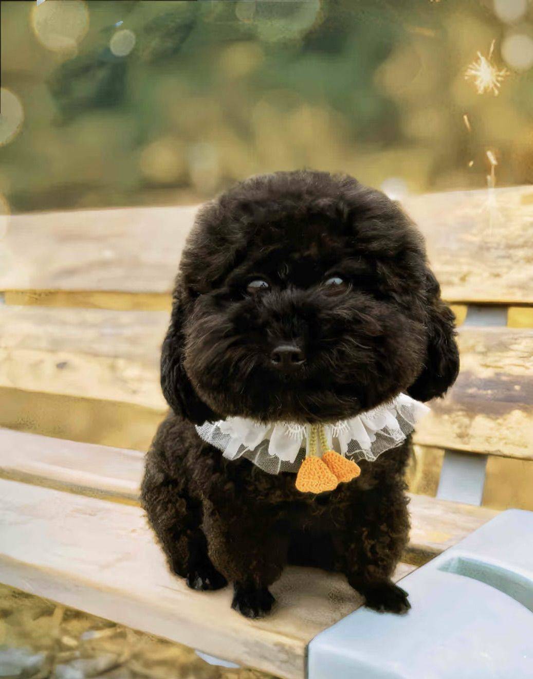 洪山区武昌府房子租