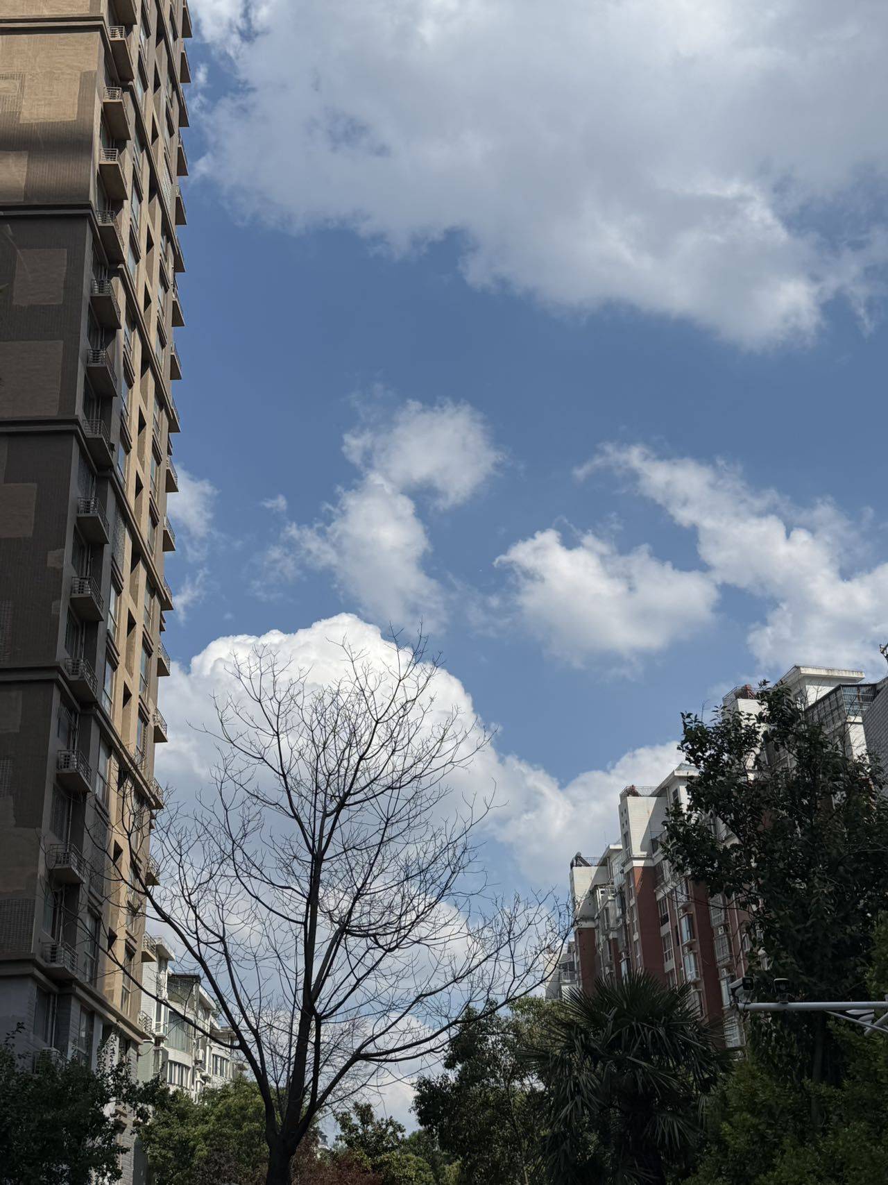 然然