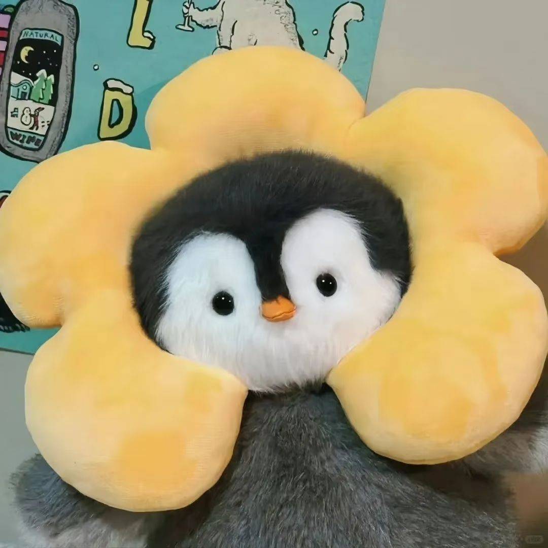 今天阳光刚刚好