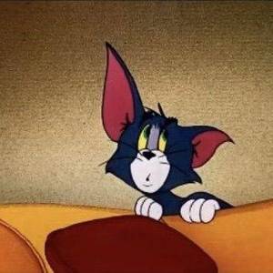 偷个小猪吧