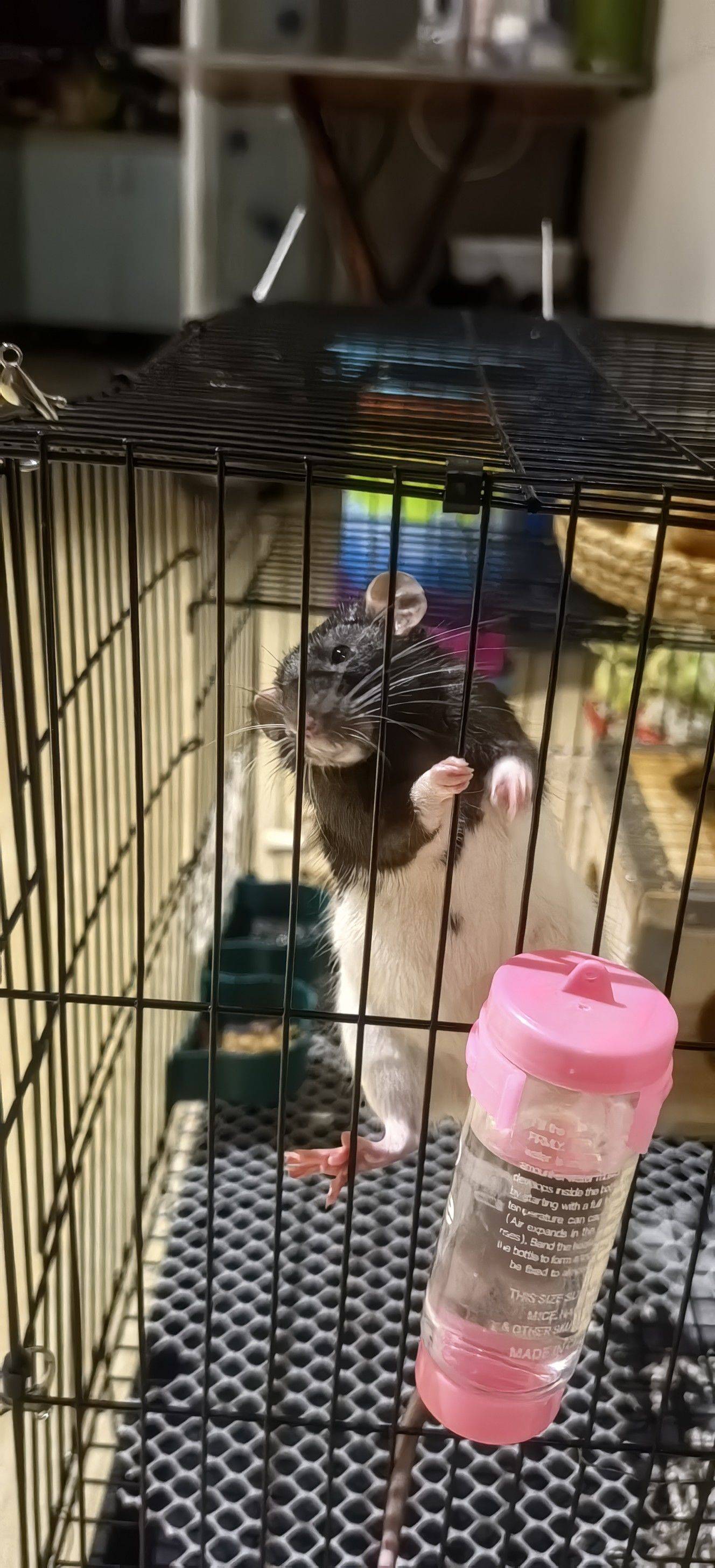 黄岛找室友 男女不限