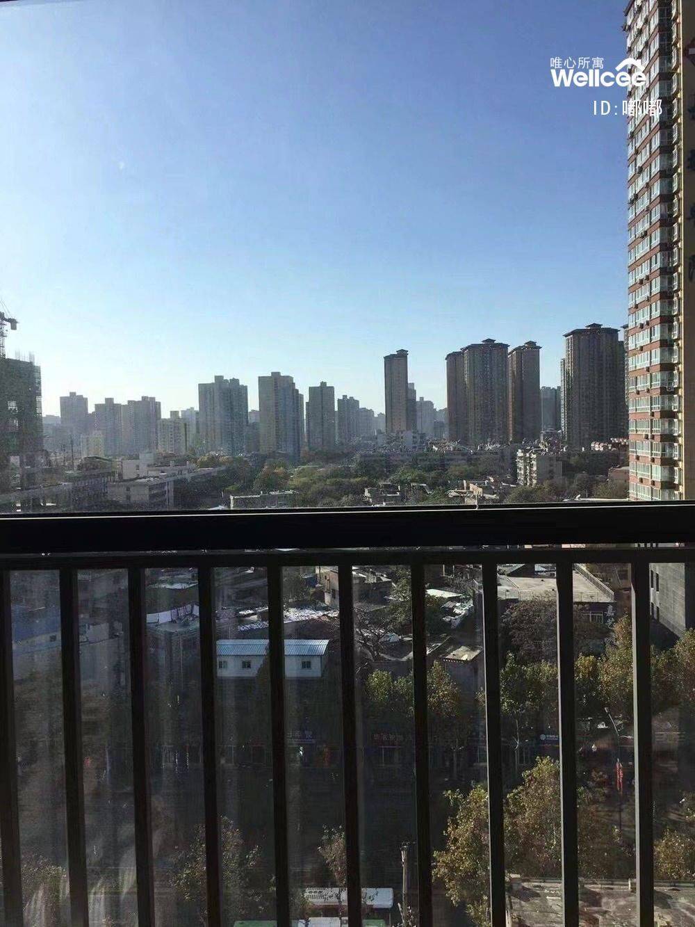 life_photo_3