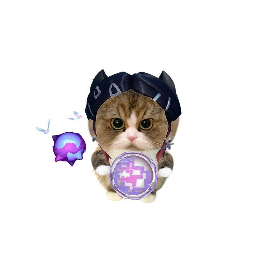 看飞碟