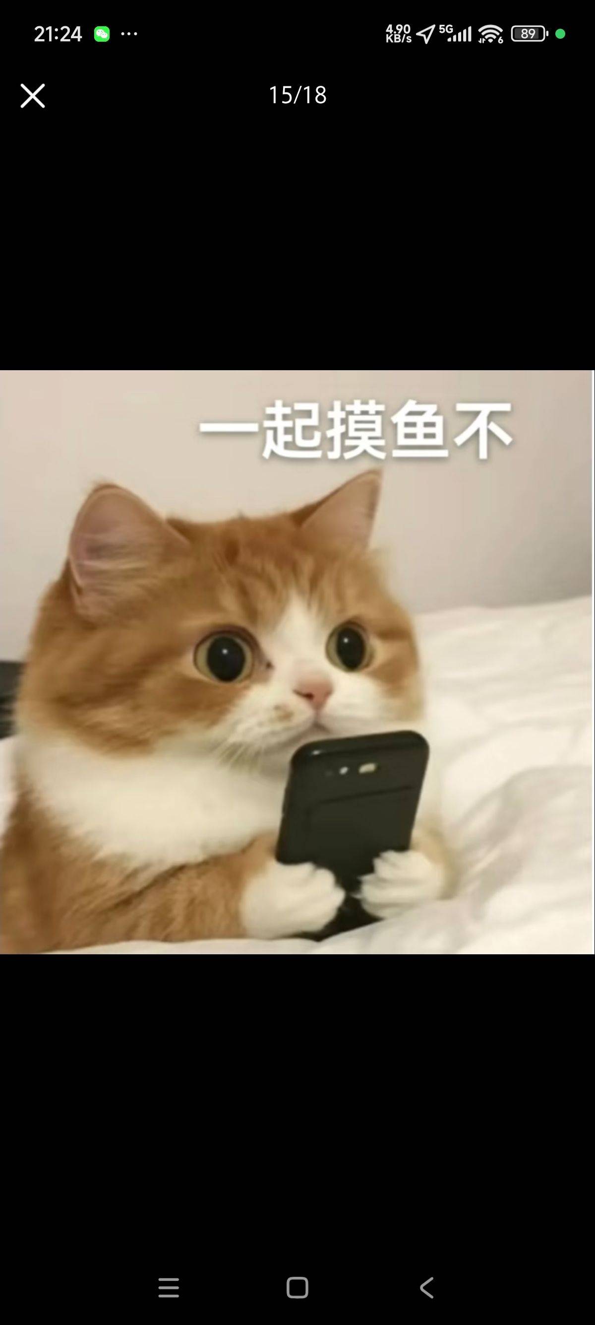 唔西迪西