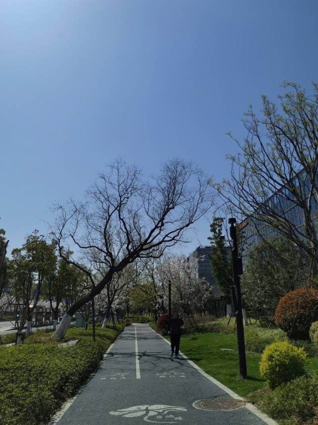 life_photo_1