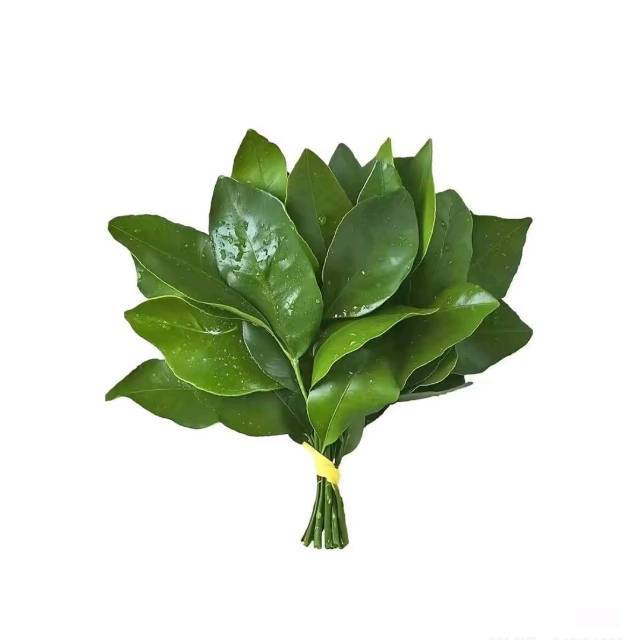 冬