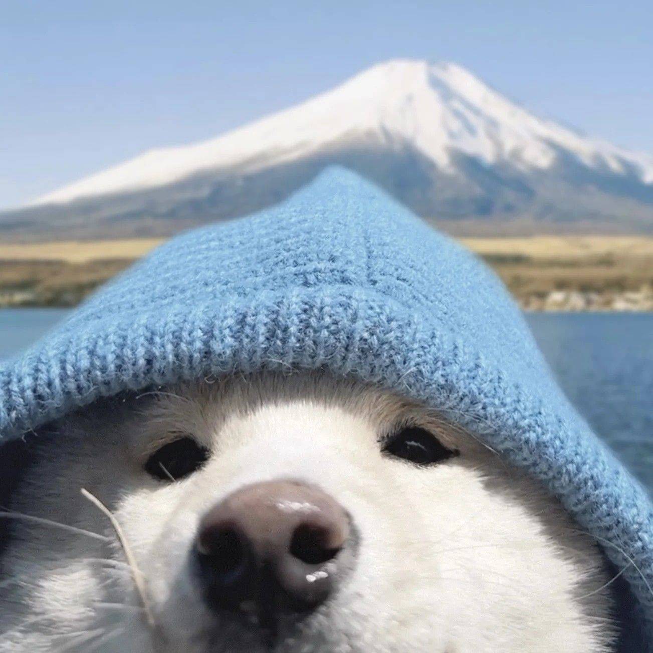 锅气蛋饼