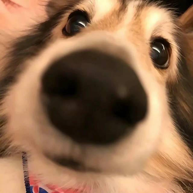 。。。