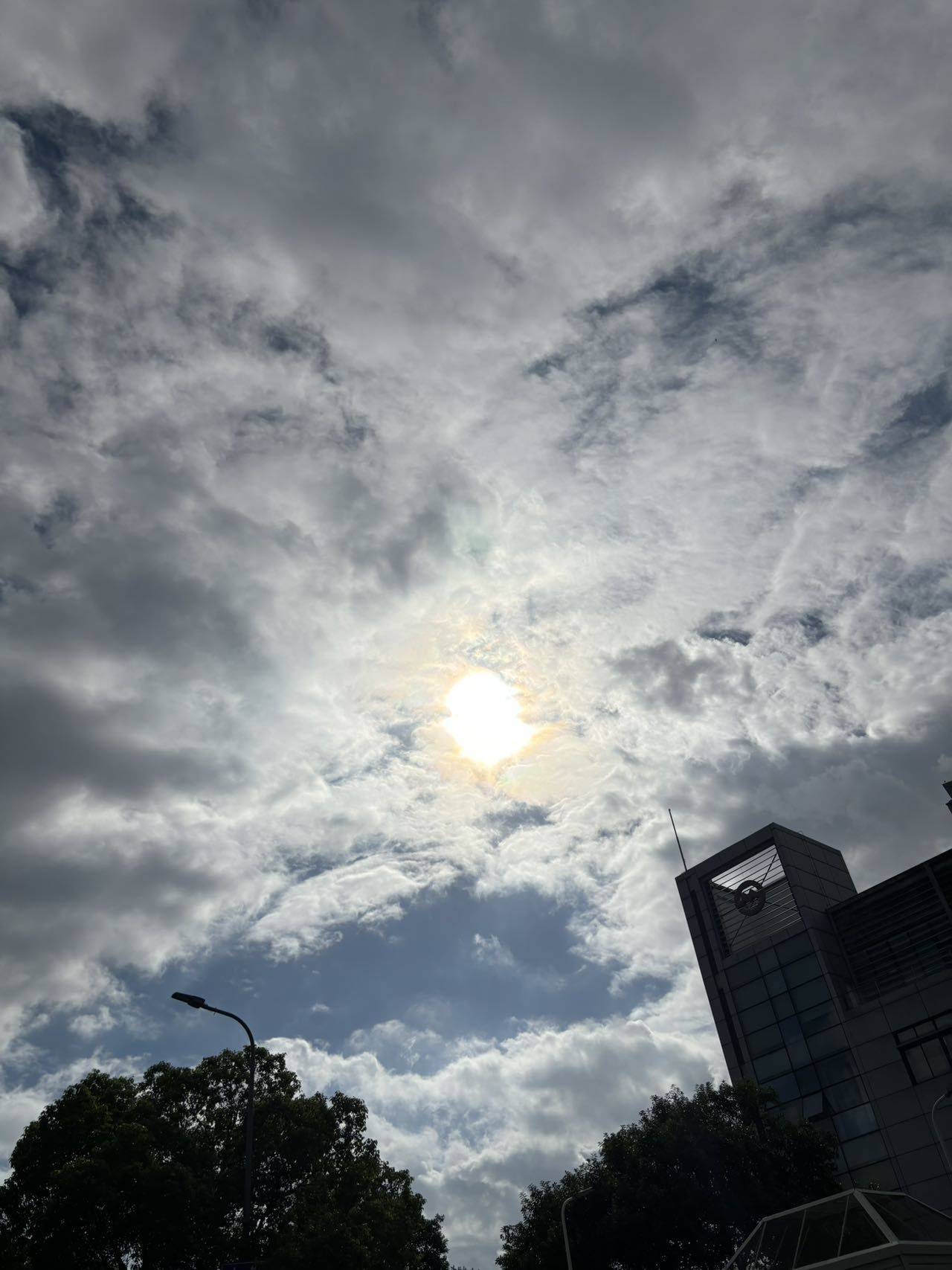 露露