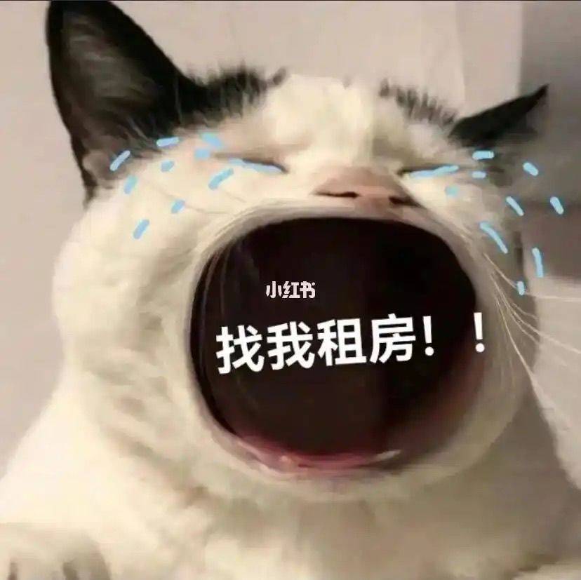 我的,我的,都是我的!