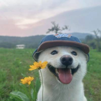 紫薯芋泥
