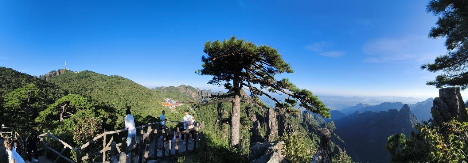 爽快包租婆