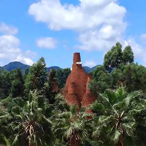 水兵小月月