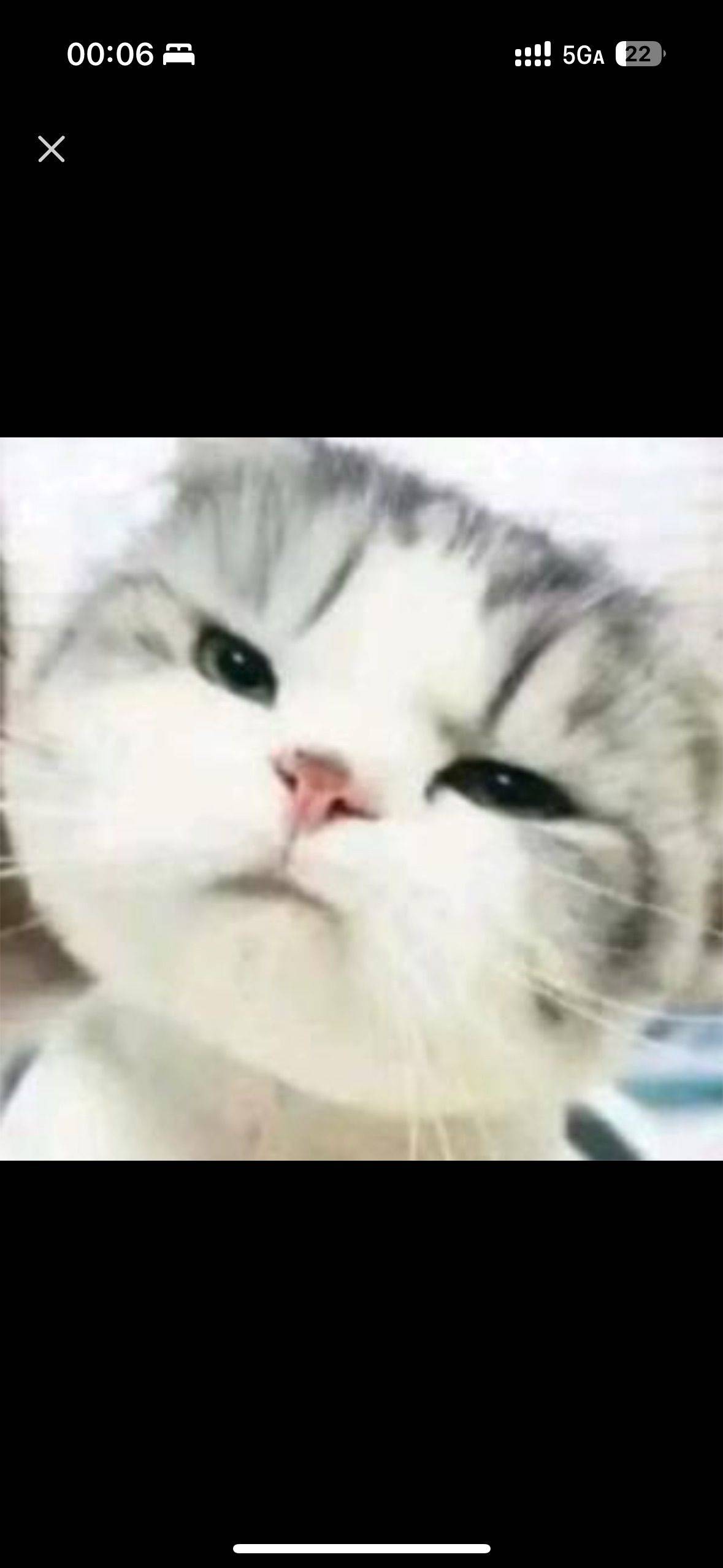 光