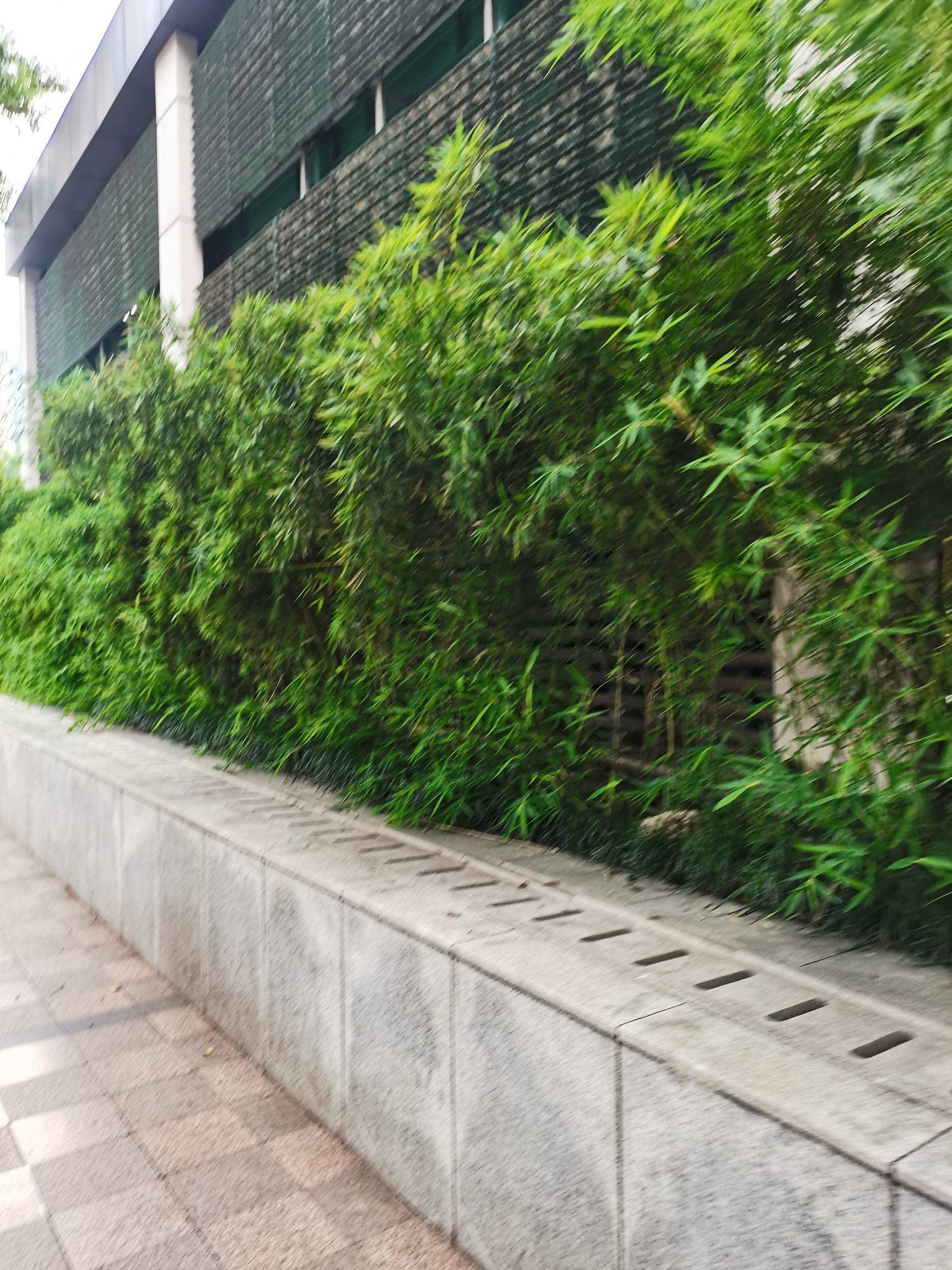 来咯来咯，韩字当头来咯！